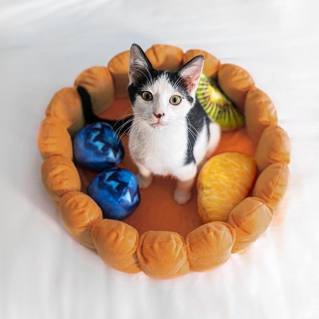 Fruit Tart Cat Bed